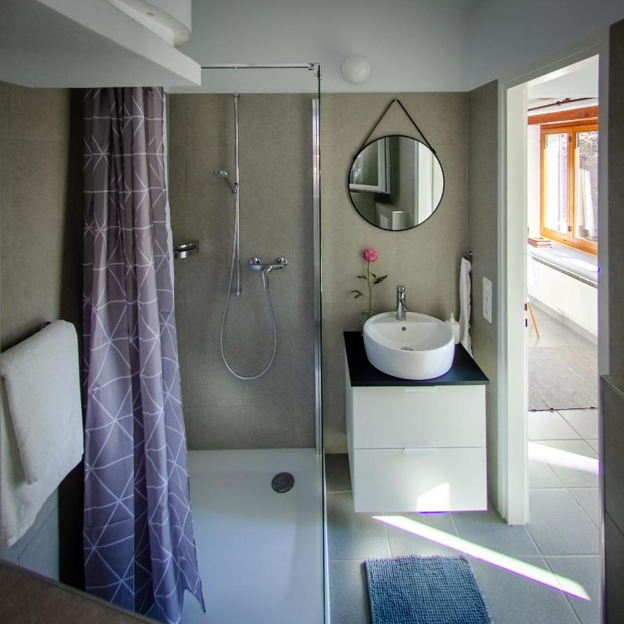 Rustico Al Sole - Just Renewed 1Bedroom Home In Ronco Sopra Ascona Zewnętrze zdjęcie